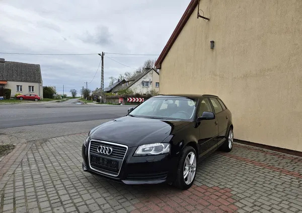 samochody osobowe Audi A3 cena 25900 przebieg: 264000, rok produkcji 2010 z Gniezno